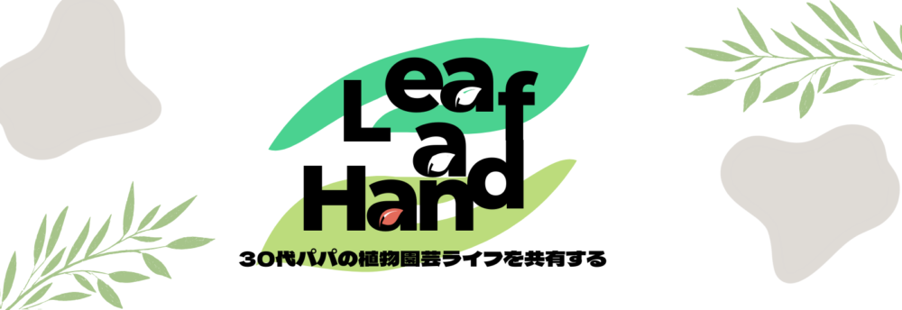 Leaf a Hand