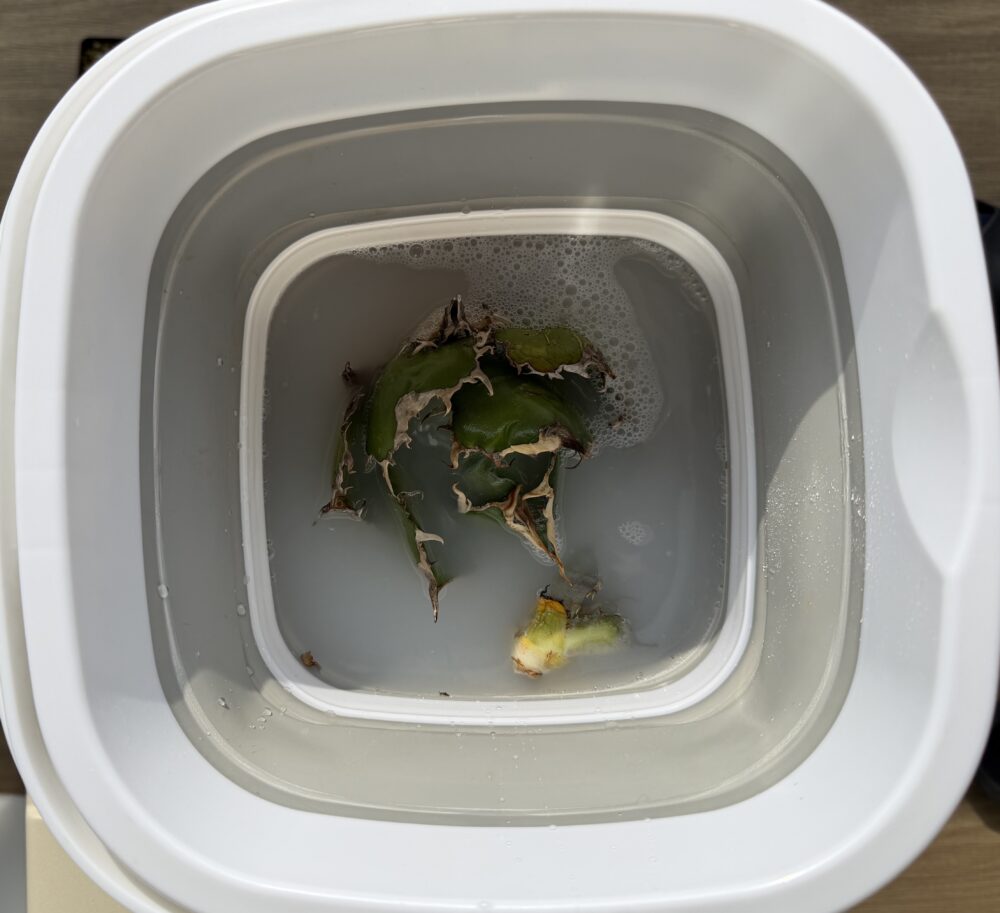 ベンレートで株を殺菌する画像