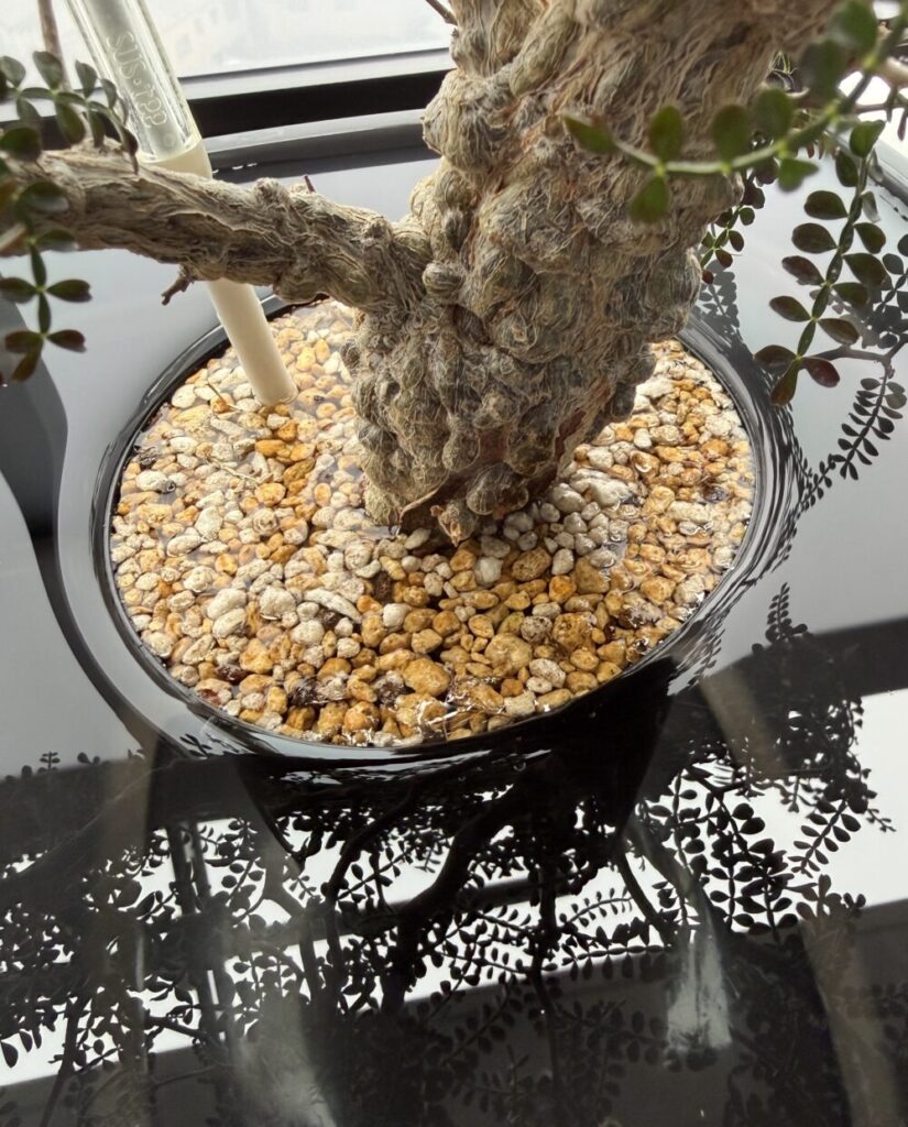 ロングポット浸水画像