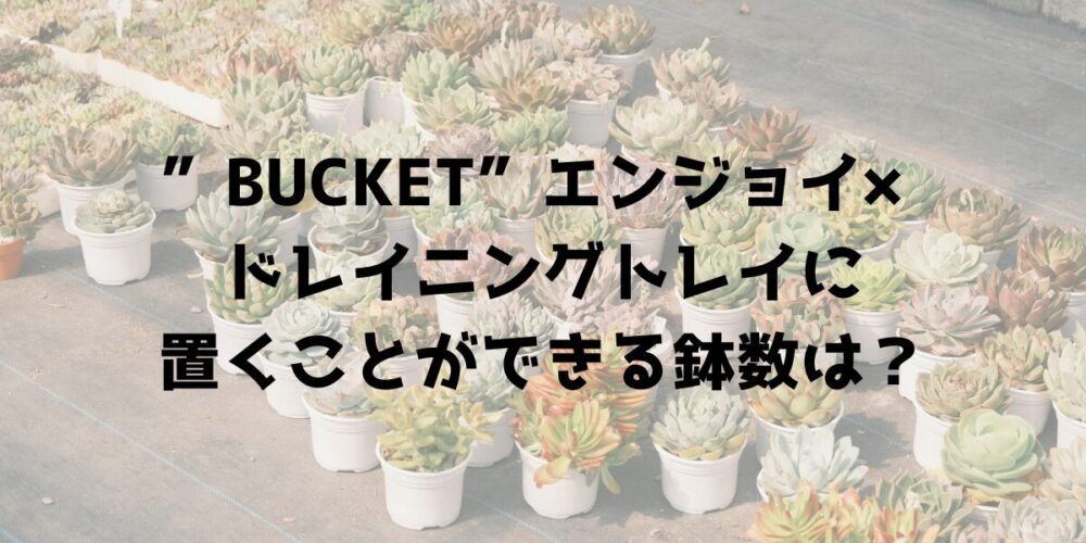 どのくらい鉢数を”BUCKET”エンジョイとドレイニングトレイに置くことができるの？