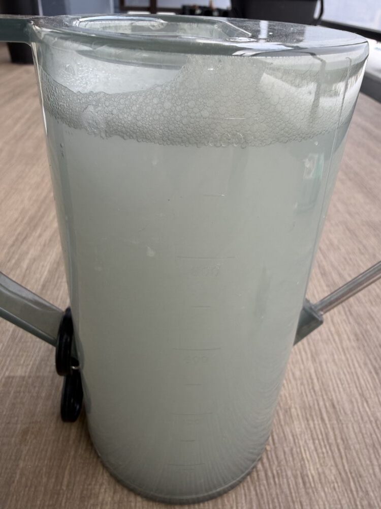 ベンレート水和剤を溶かした殺菌液の入ったじょうろ