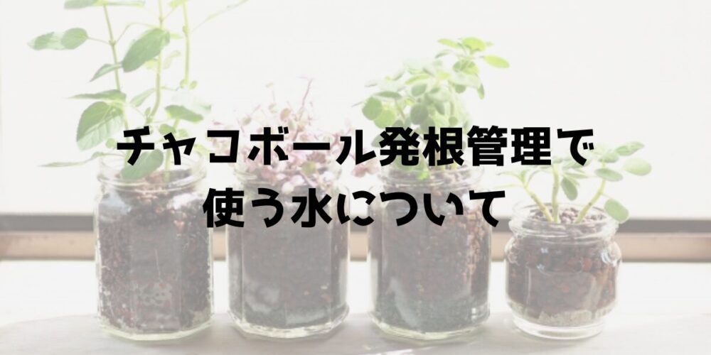 チャコボール発根管理で使う水について解説するセクションの見出し画像