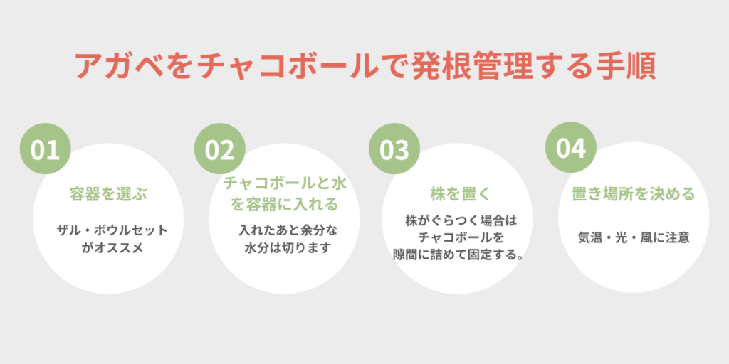 アガベをチャコボールで発根管理する4ステップ（容器を選ぶ・チャコボールと水を入れる・株を置く・置き場所を決める）の手順図