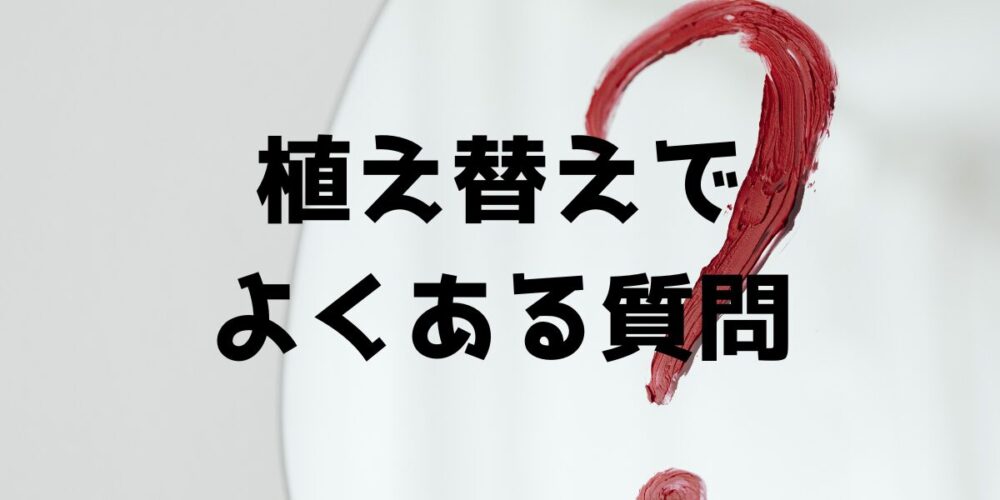 パキプス植え替えでよくある質問を紹介するバナー画像