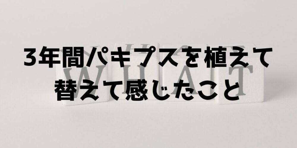 3年間パキプスを植え替えて感じたことを紹介するバナー画像