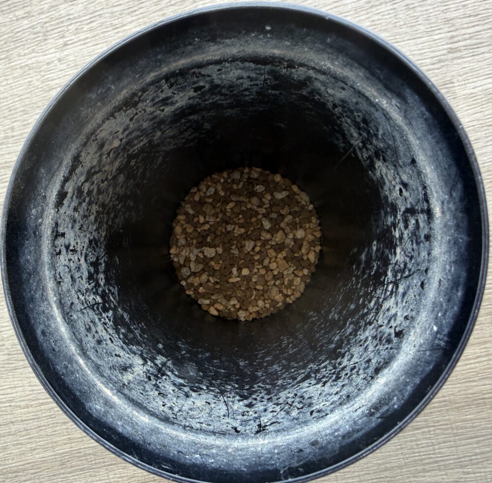 鉢底石の上に少量の用土を入れたロングポットの様子（上から撮影）