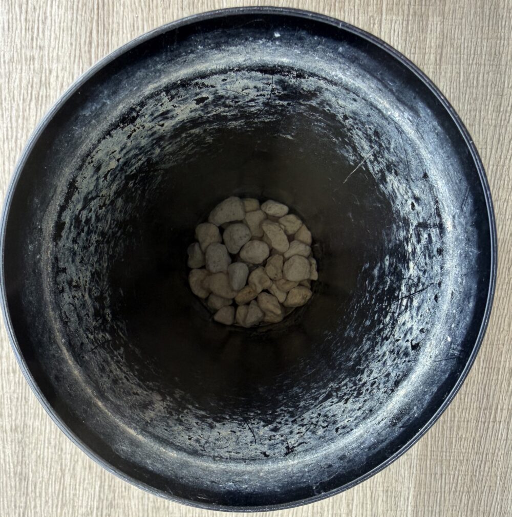 ロングポットの底に鉢底石を少量敷いた様子（上から撮影）