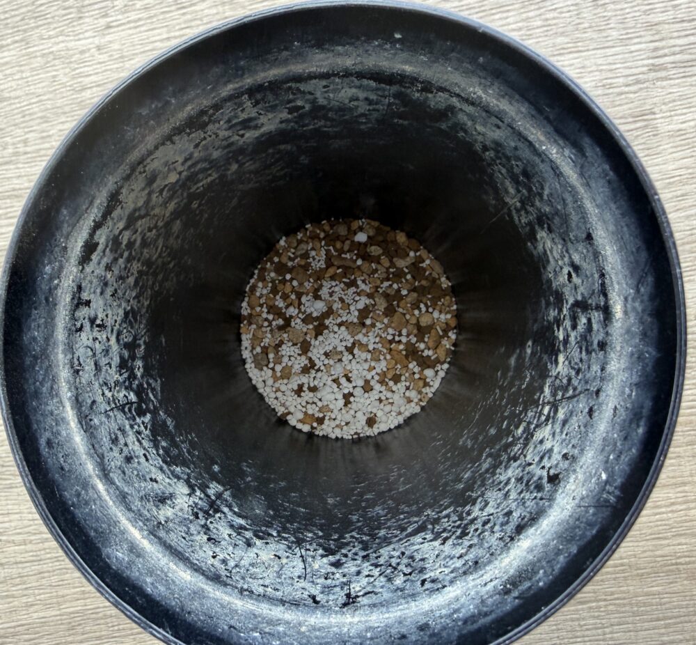 用土の上にマグァンプKとオルトランDXを投入したロングポットの様子