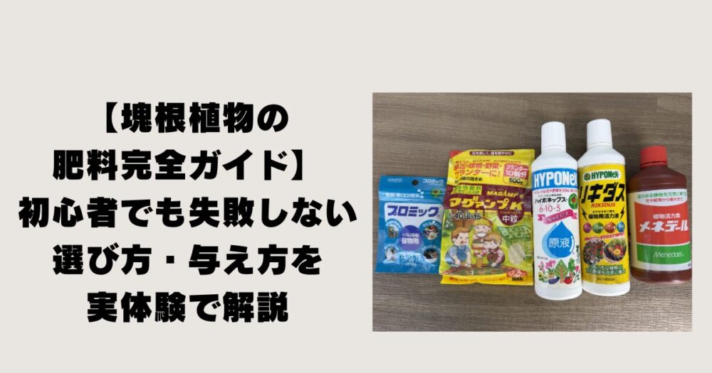 【塊根植物の肥料完全ガイド】初心者でも失敗しない選び方・与え方を実体験で解説のトップ画