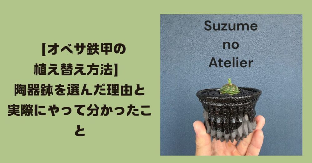 オベサ鉄甲の植え替え方法】陶器鉢を選んだ理由と実際にやって分かった 