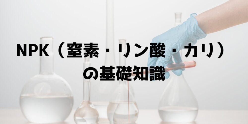 NPK（窒素・リン酸・カリ）の基礎知識 見出し画像