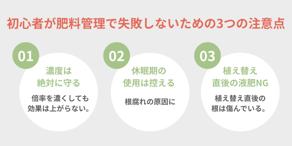 初心者が肥料管理で失敗しないための3つの注意点 濃度・休眠期・植え替え直後の液肥NGをまとめた図解