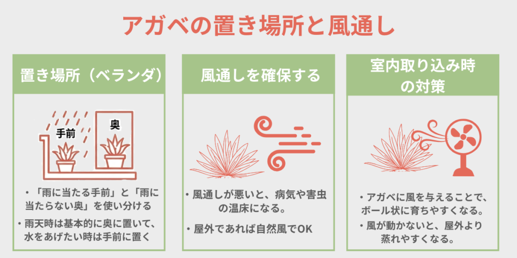 アガベの置き場所と風通し ベランダで雨に当てる位置・風通しの確保・室内取り込み時の対策をまとめた図解
