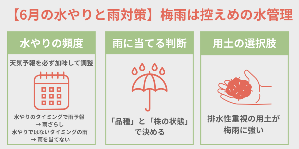6月の水やりと雨対策 梅雨は控えめの水管理 水やりの頻度・雨に当てる判断・用土の選択肢をまとめた図解