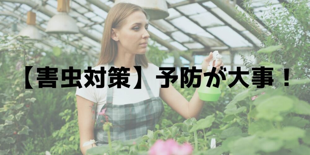 害虫対策 予防が大事 農薬を噴霧する女性 見出し画像