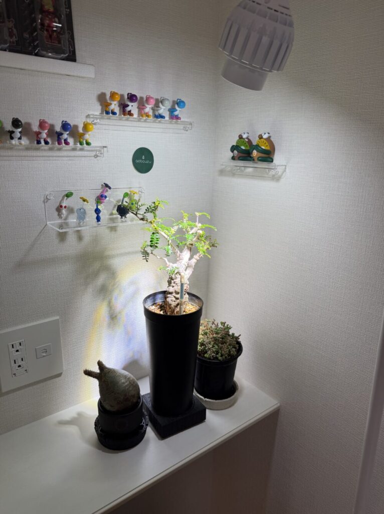 COB LED 20Wを鋭角15度で株に照射している様子