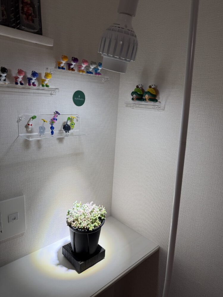 棚に設置して点灯しているCOB LED 20Wの外観