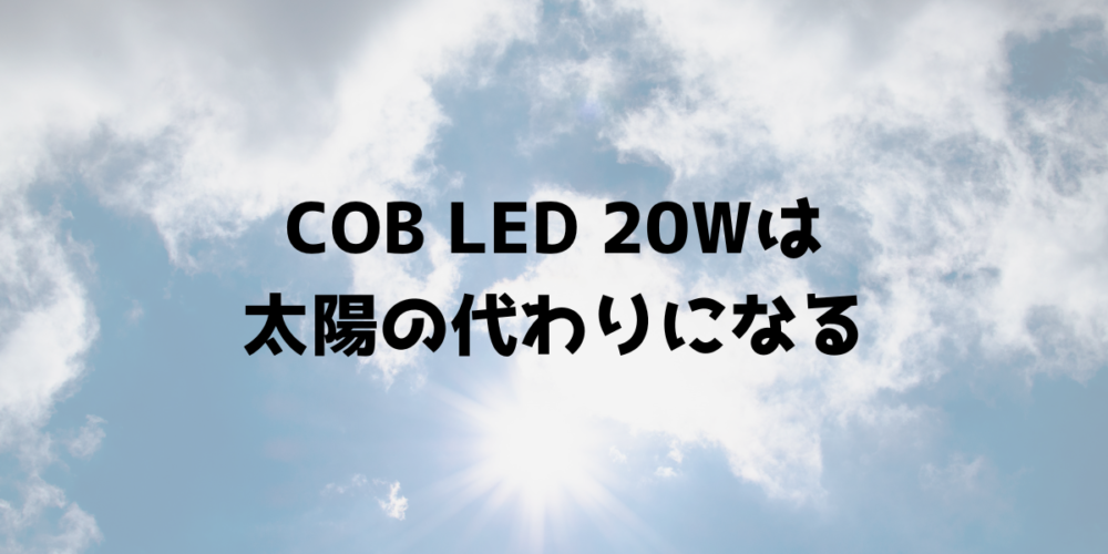 COB LED 20Wは太陽の代わりになる 見出し画像