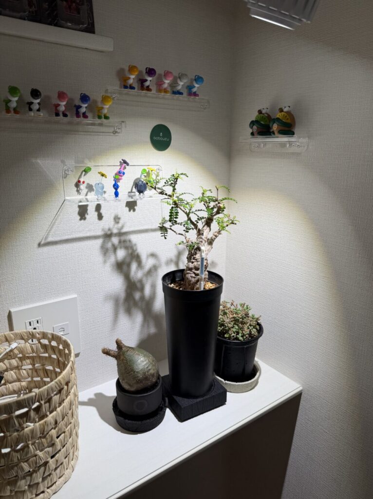 COB LED 20Wを広角60度で株に照射している様子