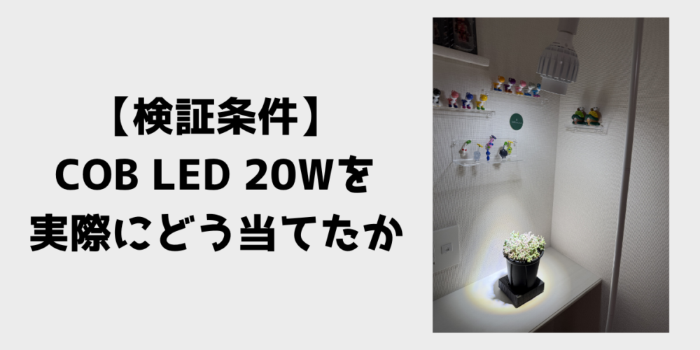 検証条件 COB LED 20Wを実際にどう当てたか 見出し画像