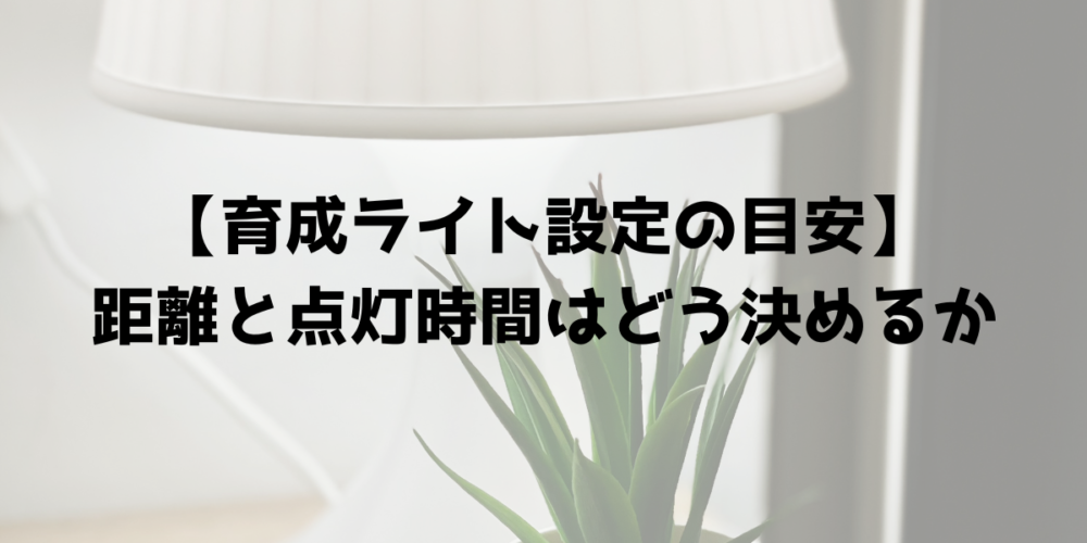 COB LED 20Wの距離と点灯時間の決め方を示す見出し画像