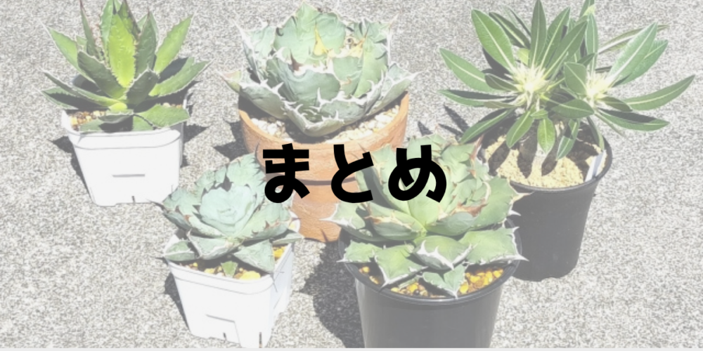 まとめ 9月は締めながら伸ばす月 見出し画像