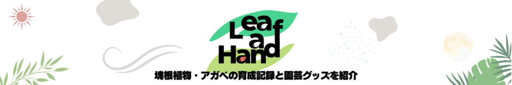 Leaf a Hand