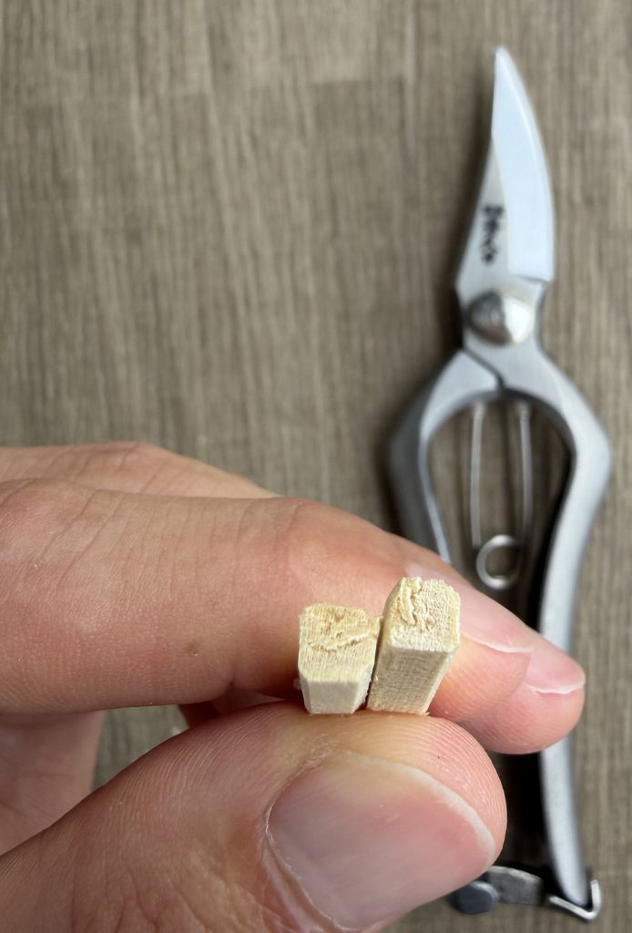 T-519で切った割り箸の切断面 繊維が最後まで切れている