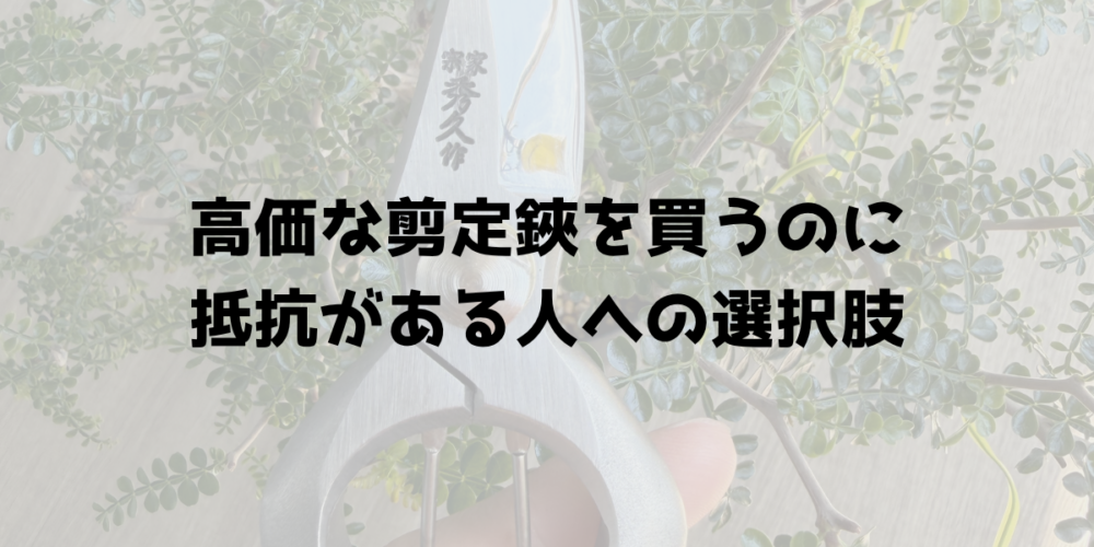 高価な剪定鋏を買うのに抵抗がある人への選択肢 見出し画像