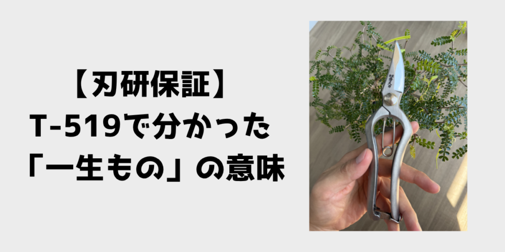 刃研保証 T-519で分かった一生ものの意味 見出し画像