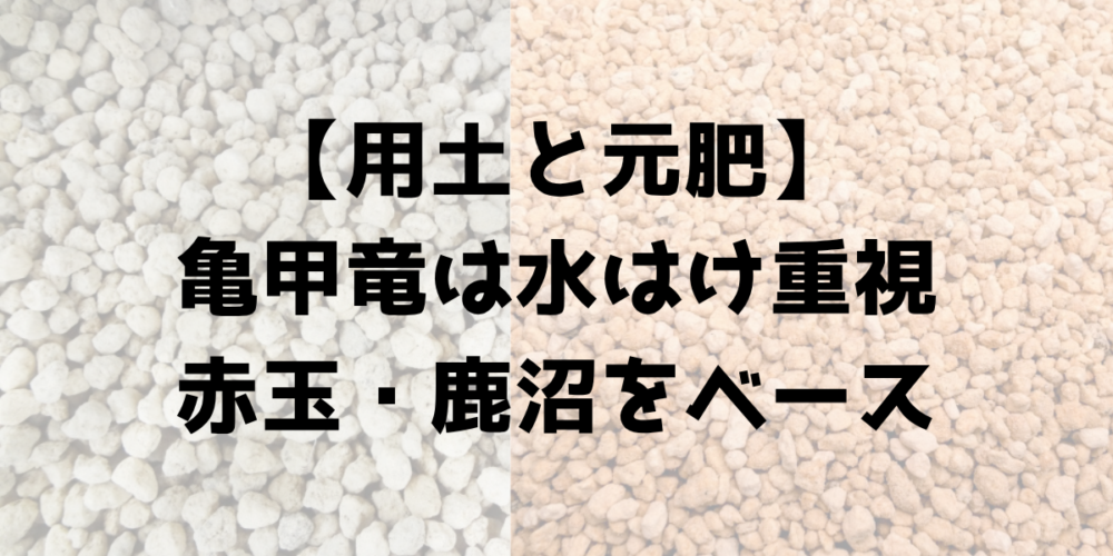 亀甲竜の植え替えに使う用土と元肥を示す見出し画像