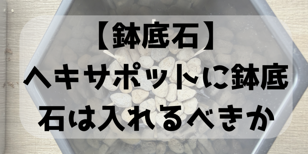 【鉢底石】ヘキサポットに鉢底石は入れるべきか