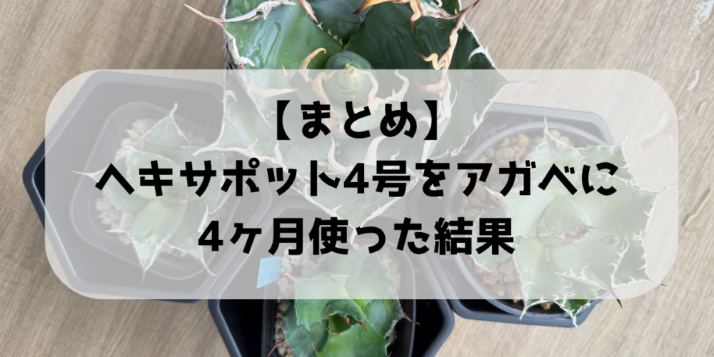【まとめ】ヘキサポット4号をアガベに4ヶ月使った結果
