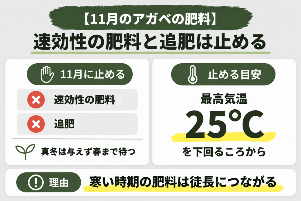 11月のアガベの肥料を示す見出し画像 最高気温25℃を下回るころから速効性の肥料と追肥を止める