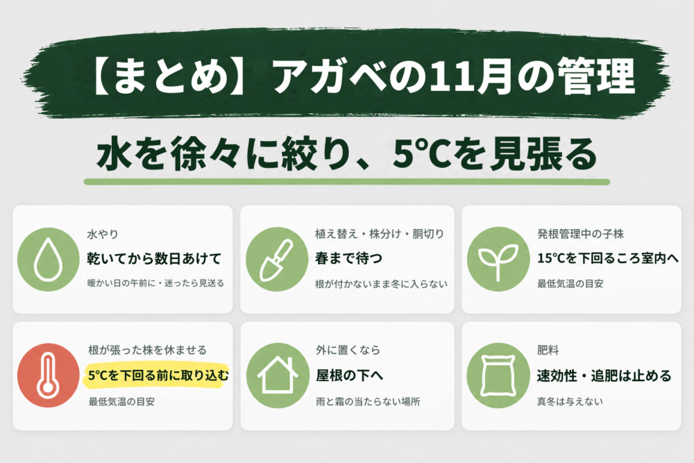 アガベの11月の管理のまとめを示す見出し画像 水を徐々に絞り5℃を見張る