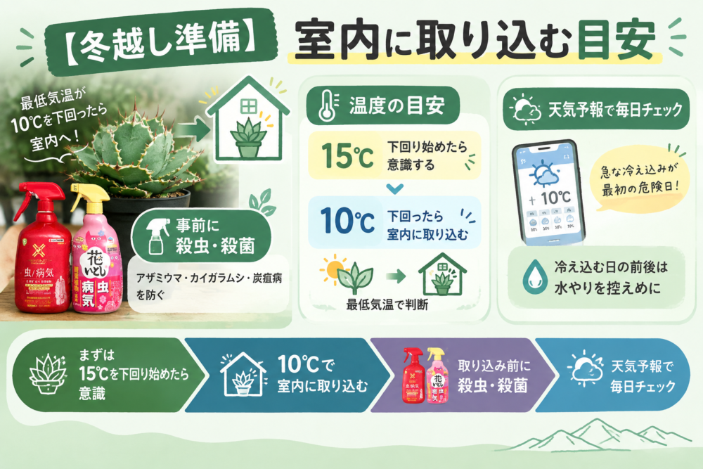 【冬越し準備】室内に取り込む目安 最低気温15℃で意識し10℃で取り込む・取り込み前に殺虫殺菌・天気予報で毎日確認